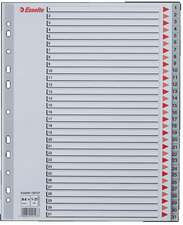 Rozřaďovač A4 PP Esselte maxi 1-31