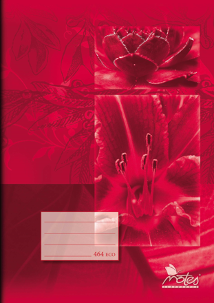 Sešit ECO A4 60 listů