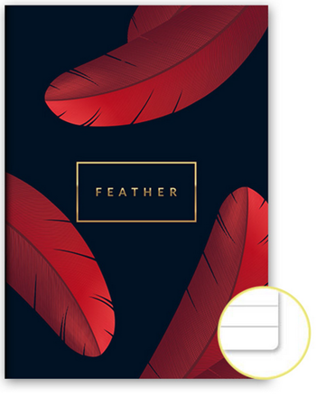 Sešit 480 A4 80ls Feather