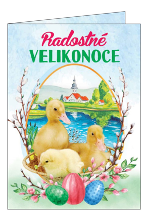 Blahopřání do obálky kuře