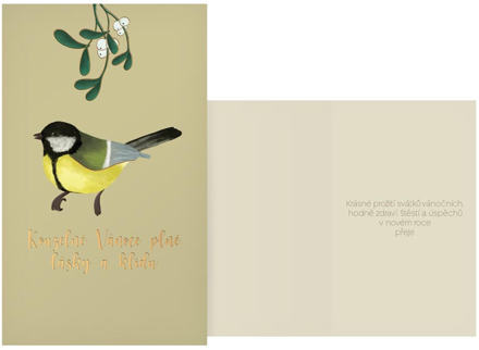 Přání Vánoční H