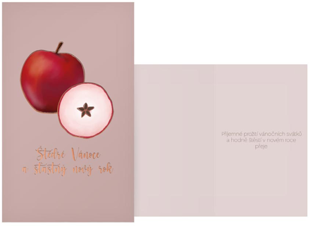 Přání Vánoční H