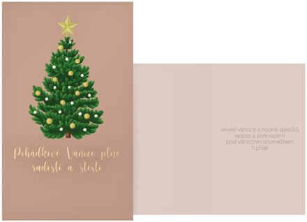 Přání Vánoční H