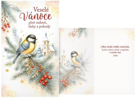 Přání Vánoční T