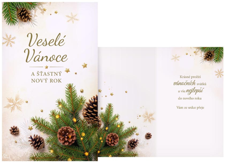 Přání Vánoční T