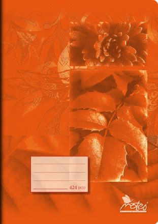Sešit 424/ 20ls/ linka EKO