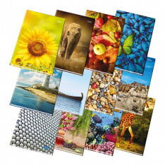 Záznamní kniha A6 100 ls Záznamní kniha A6 100 ls