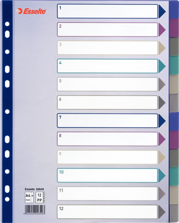Rozřaďovač A4 PP Esselte maxi 12ls barevný