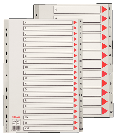 Rozřaďovač A4 PP Esselte maxi 5ls barevný