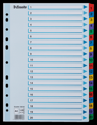 Rozřaďovač A4 kartonový Mylar s potiskem 1-20
